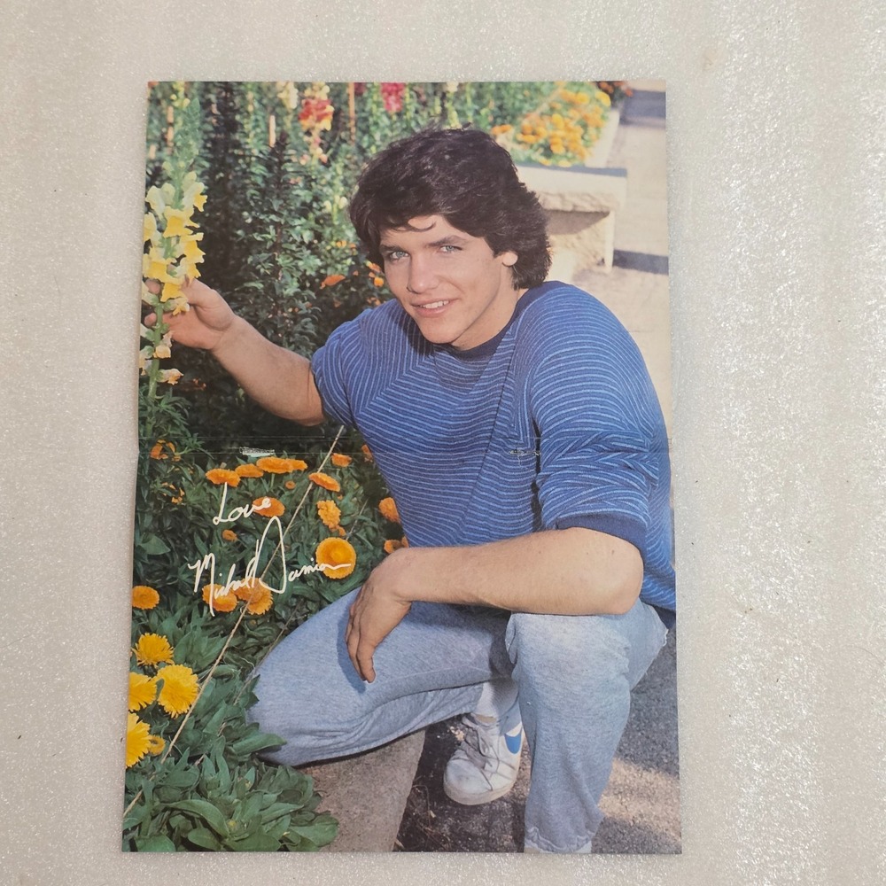 Michael Damian Peter Barton double-sided vintage color centerfold poster 1980s